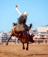 Warren County Fair