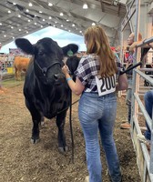 Warren County Fair