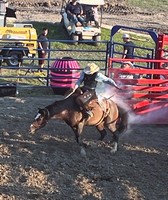 Ottawa County Fair