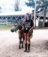 Ottawa County Fair