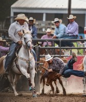 Clark County Fair