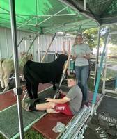 Clermont County Fair