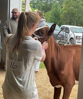 Caledonia County Fair