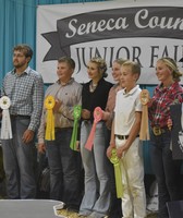 Seneca County Fair