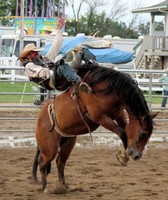 Preble County Fair