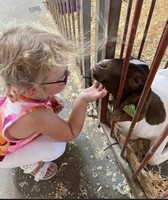 Auglaize County Fair