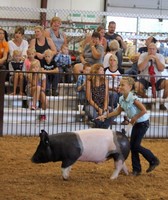 Greene County Fair