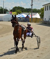 Wood County Fair