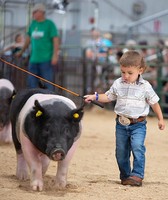 Wood County Fair